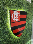 CAPA FLAMENGO